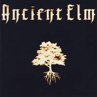 Ancient Elm : Ancient Elm